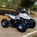 ATV-Quad-Bike-124cc-Motor-Price-in-Pakistan