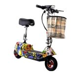 Electric Scooter 24-V Folding 2 Wheel